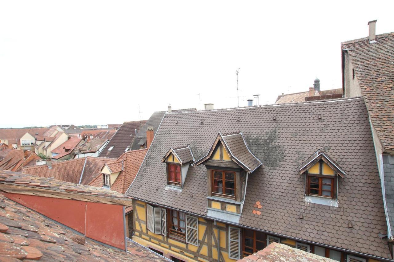Colmar City Center - Appartement Petit Ours - Bookingalsace Ngoại thất bức ảnh