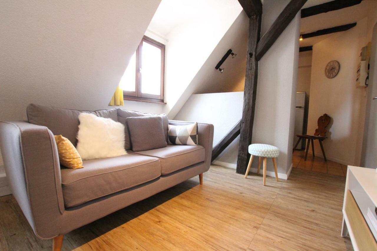 Colmar City Center - Appartement Petit Ours - Bookingalsace Ngoại thất bức ảnh